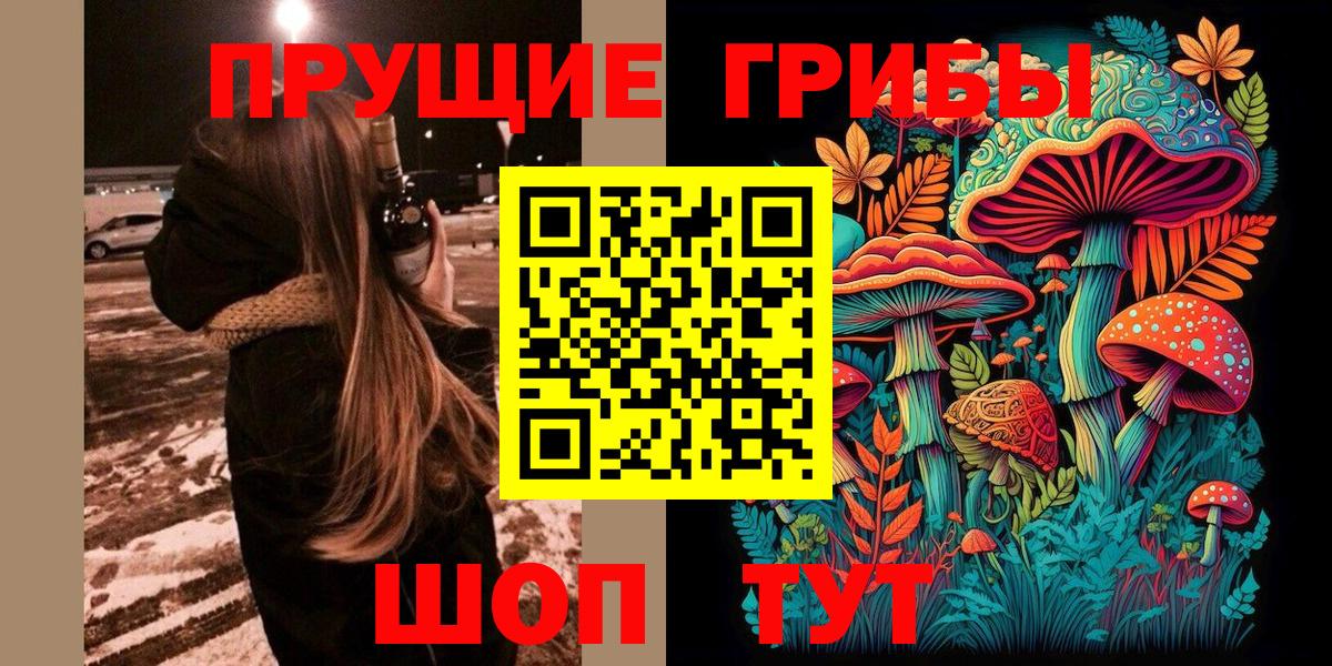 Псилоцибиновые грибы MAGIC MUSHROOMS  Вход с VPN  Бузулук 