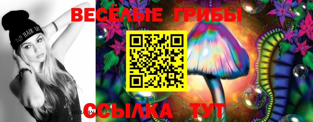 Псилоцибиновые грибы мухоморы Бузулук