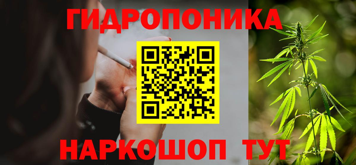 Каннабис OG Kush Бузулук